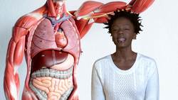 Science Kids: Elephants Instructional Video