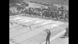 AAU Swim Meet in Seattle features Australia's John Marshall winning a race News Clip