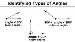 Types of Angles and Angle Relationships Instructional Video