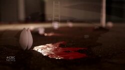 Iranian sisters living in Regina use art as form of protest News Clip