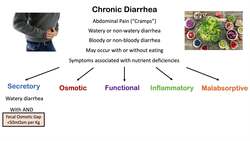 Chronic Diarrhea: Approach to Cause, Secretory vs Osmotic vs Inflammatory, Watery vs Bloody Diarrhea Instructional Video