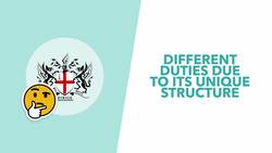 Will Johnson Win Big? Today's Local Elections Explained - TLDR News Instructional Video