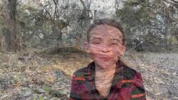 On Safari with Nala - Scorpions Instructional Video