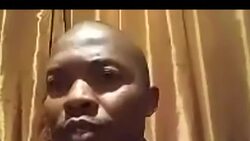 CLEAN : Botswana reports mysterious deaths of hundreds of elephants (2) News Clip