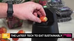 How Tech is Powering Sustainable Food Shopping and Reducing Plastic Waste News Clip