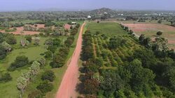 Indian Hills with Fields and Forest Stock Footage