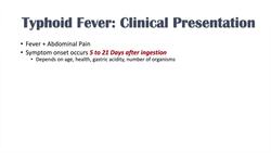 Typhoid Fever: Pathogenesis (vectors, bacteria), Symptoms, Diagnosis, Treatment, Vaccine Instructional Video