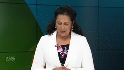 Raising awareness about the importance of pollinators on World Bee Day News Clip