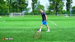 Moving - Hip twists Instructional Video