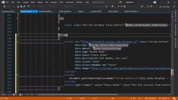 The Complete Guide to ASP.NET Core MVC (.NET 5) - Take Payments for Authorized Company Instructional Video