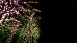 Neon Tree illumination Stock Footage