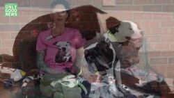 Rescue Dog Jake Becomes A Firefighter Instructional Video