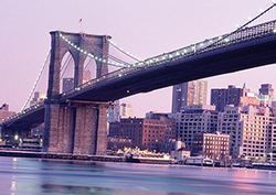 Bridges Instructional Video