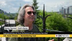Remembering Coal, the last Parliament Hill cat Instructional Video