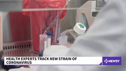 Health Experts Track Potential New Strain Of COVID News Clip