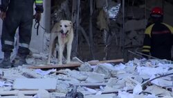 VOICED : En Cuba, la búsqueda sigue en los escombros del hotel Saratoga News Clip