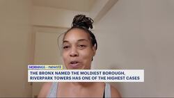 The Bronx tops study as NYC’s moldiest borough News Clip