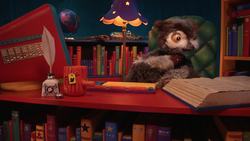 Owl's Fascinating Facts: Pistol Shrimp Instructional Video