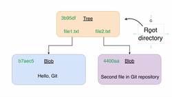 Complete Git Guide: Understand and Master Git and GitHub - Overview of Current File Distribution Instructional Video