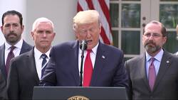 Trump declares virus pandemic a national emergency Instructional Video