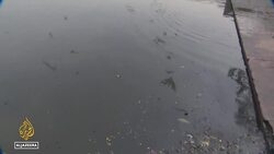 India's migratory birds: Vanishing wetlands affect migrations News Clip