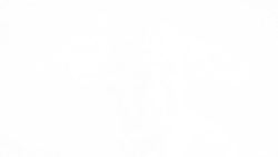 The Rapid Rise of J.P. Morgan's Mary Callahan Erdoes News Clip