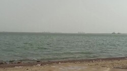 CLEAN : Giant ship grounding blocks Egypt's Suez Canal News Clip