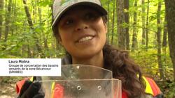 What it’s like to search for this rare, reclusive salamander News Clip