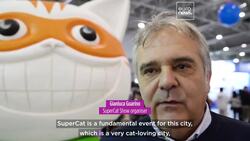 Fluffy felines compete for prizes and steal hearts at Rome's SuperCat Show News Clip