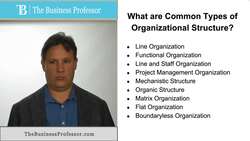 Types of Organizational Structure Instructional Video