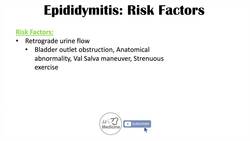 Epididymitis (Scrotal Pain) | Causes, Risk Factors, Signs & Symptoms, Diagnosis, Treatment Instructional Video