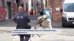 Carnival for Canines raises funds for working dogs Instructional Video