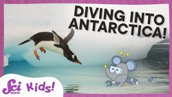 Exploring Antarctica: From Penguins to the Coldest Seas | SciShow Kids Compilation Instructional Video