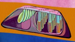 TED-Ed: Can loud music damage your hearing? | Heather Malyuk Instructional Video