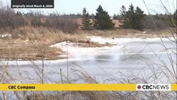 P.E.I. dog saves owner's life during daring rescue: CBC P.E.I. Looking Back News Clip