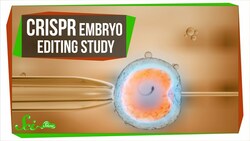 What the CRISPR Embryo Editing Study Really Taught Us Instructional Video