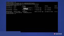 Docker Certified Associate Certification Training Course - Demo - Binding Containers with Host Post Instructional Video