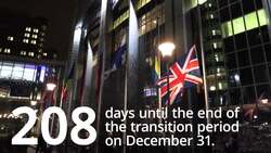 Brexit briefing: 208 days until the end of the transition period News Clip