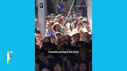 Nvidia CEO says a gardener provided one of the most "profound learnings" of his life News Clip