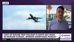 Air Travel Costs More, Has Fewer Options This Holiday Season News Clip