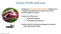 Case Study: Puma Instructional Video