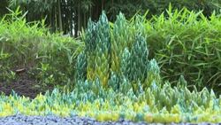 CLEAN : Ceramics take centre stage at French exhibition News Clip