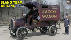 Origins of Common Terms Instructional Video