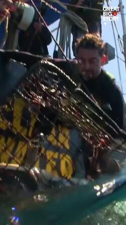 Dive Against Debris, Ocean Defenders' Mission to Save Marine Life Instructional Video