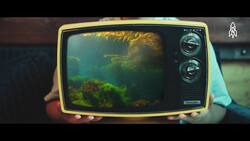 Exploring the redwoods of the ocean, California's kelp forests Instructional Video