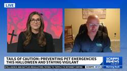 Keeping beloved pets safe this Halloween News Clip