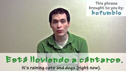 How to say "it's raining cats and dogs" in Spanish (Día 68) Instructional Video