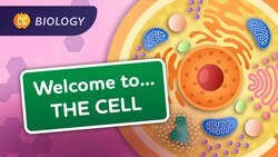 A Tour of the Cell: Crash Course Biology #23 Instructional Video