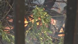 Firefighters battle southern California blaze Instructional Video