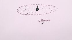 How Big is the Universe Instructional Video